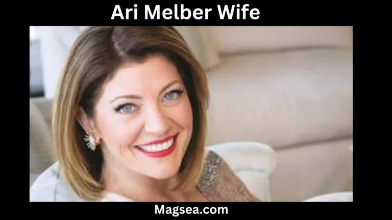 Ari Melber Wife