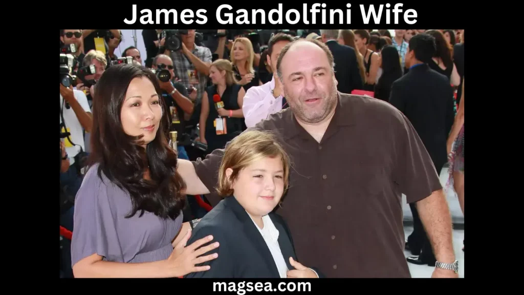 James Gandolfini Wife's Social Media Presence