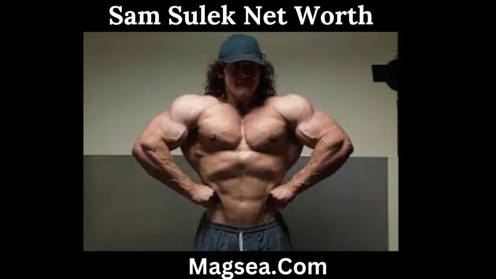 Sam Sulek Biography Table