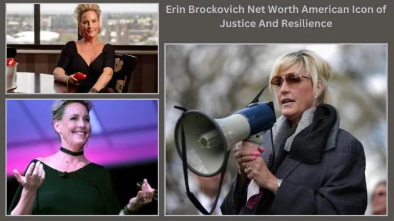 Erin Brockovich Net Worth