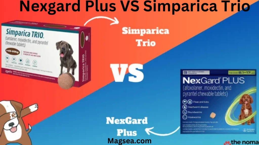 NexGard Plus vs Simparica Trio: What Sets Them Apart?