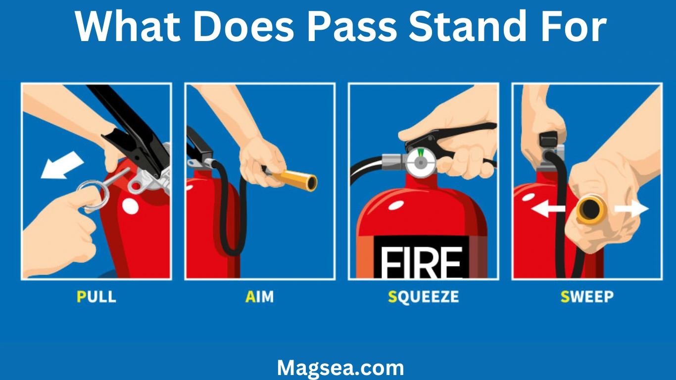 What Does Pass Stand For